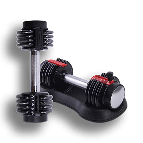 XYZLEO Mancuernas Ajustables 12.5lb x2 Pesas Gimnasio En Casa Adecuado para Hombres Y Mujeres Recubierto De Goma Hierro Fundido AutomáTicamente Pesa,5Pesos De Engranajes Ajuste RáPido(2 x 6.5kg)