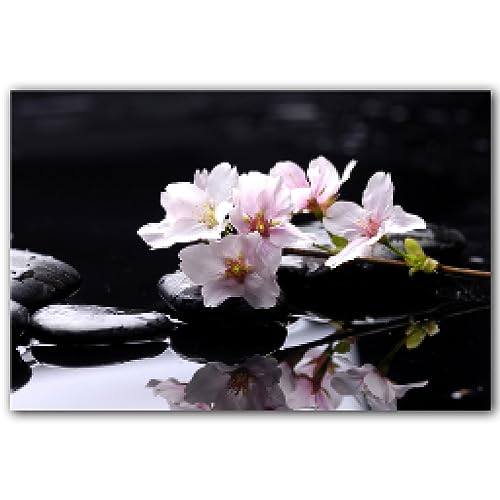 Papillon et roses rouges KEBIA : la solution pour raviver un mur blanc triste