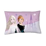 Frozen Elsa & Anna Beauty Silky Satin Standard Reversible Pillowcase Cover 20x30 for Hair and Skin, (Official) Disney Product by Franco