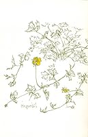 Did I tell you? B000AQVBUC Book Cover