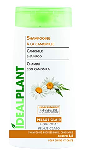 SHAMPOOING Camomille 250 ML IDÉAL Plant Cover