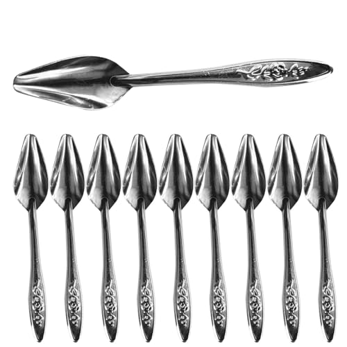 Bird Feeding Spoons, Parrot Feeding Scoops, 10 Pieces Stainless Steel Animal Milk Feeder Tools, Lightweight for Peonies, Budgerigars, Cockatiels, and Conures, 12 cm Silver