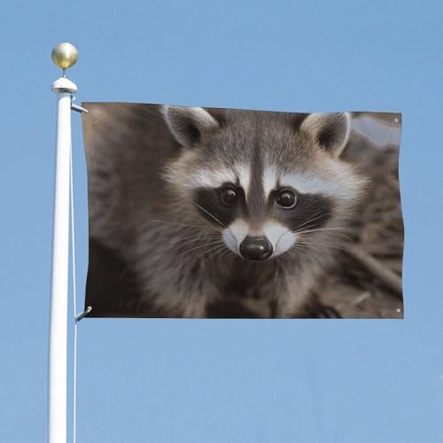 Drapeau de jardin résistant double face pour une décoration durable