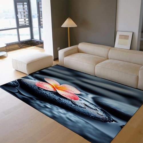 Tapis lavable à la machine 150x240 cm pliant à poil bas