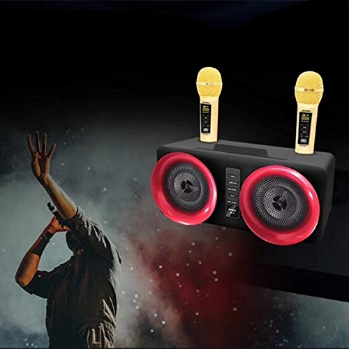 Microphone LLD SD-307 portable double sans fil Bluetooth noir