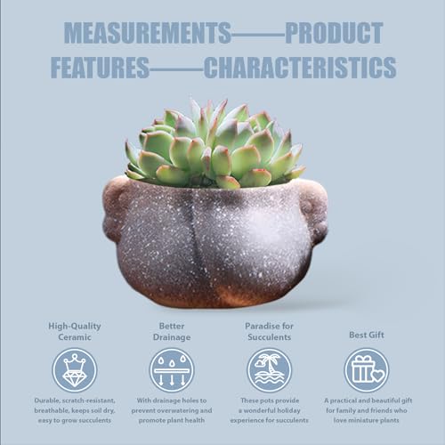 Succulent Pots, Set of 5 Ceramic Flower Pots for Mini Plant Ceramic Flowing Glaze Base Serial Set including Holes - Image 2