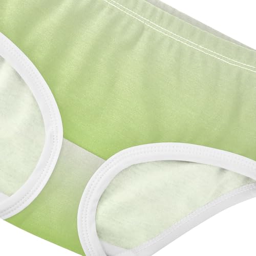 Joisal Magnolia Yellow Green Gradient Panties Little Girl Toddler Underwear Floral Cotton Stylish Briefs Undies Kids 2t4