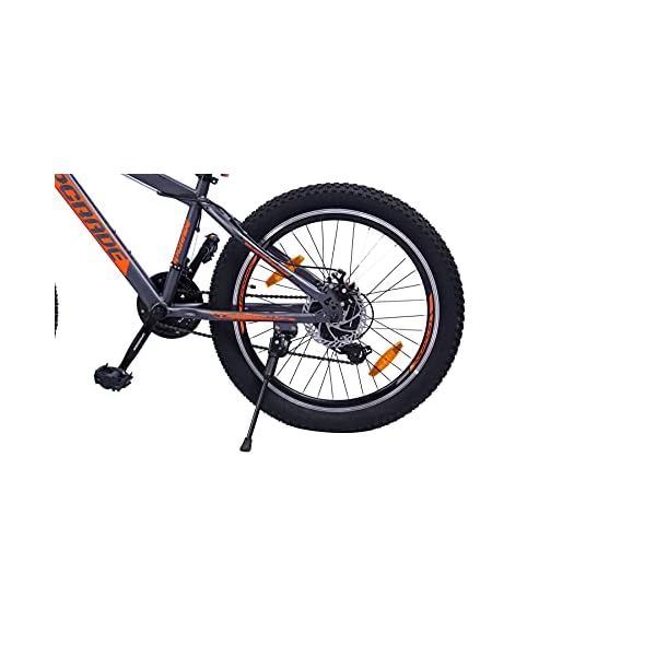 UPGRADE Cycle Monster 3.6 with Disc 