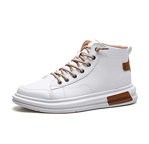 Xm[u[c [gu[c V[gu[c 傫TCY ȌC hC ~C C hu[c ~ ~u[c ےg  Y {A t@[ {A u[c [XAbv JWA V[Y [Nu[c EB^[u[c g ʋΒʊw (