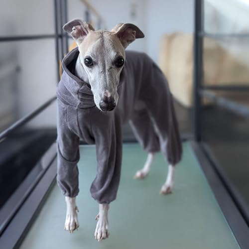 EDEL&SCHNELL Hundebademantel aus grauem Frottee, saugfähiger und weicher Bademantel Hund, Rückenlänge 70-75 cm, ideal für Windhunde, Whippets, Ridgebacks, Dalmatiner