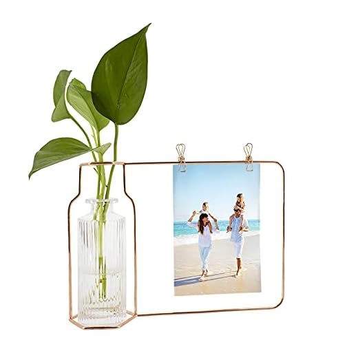 XIAODONG Dekorative Geometrische Kristall Vase, Glaspflanzer-Terrarium für Hydrokulturpflanzen/Getrocknete Blumen, mit Metallrand Fotomappe, für 2 Fotos, 17x25 cm (Golden Rose)