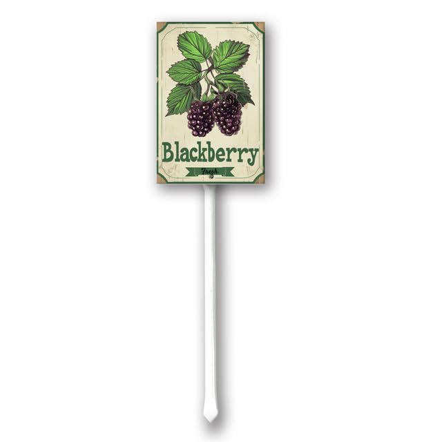 Uptell Vintage Aluminum BlackBerry Fruit Signs Yard Sign with Stake for Garden Fruit Garden Label Stakes Plant Markers for Outdoor Plants Waterproof