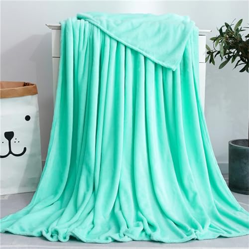 Highdi Couverture Polaire Plaid, Jeté de Canapé Douillette Confortable Couverture de Lit 2 Personnes Couverture d'hiver pour Animaux Chaude et Douce (120x200CM,Bleu lacustre)