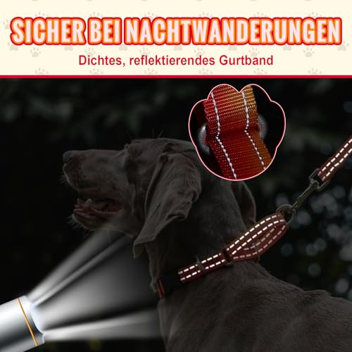 Arblina Martingale Hundehalsband, Reflektierendes Zugstopp Halsband Hunde für Große Mittlere und Kleine Hunde, Nylon Zughalsband mit Stopp für Hunde Whippets, Greyhounds, Saluki, Orange,L
