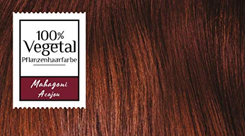Foto von SCHWARZKOPF 100% VEGETAL Coloration, Haarfarbe Mahagoni Stufe 3, 3er Pack (3 x 80 ml)