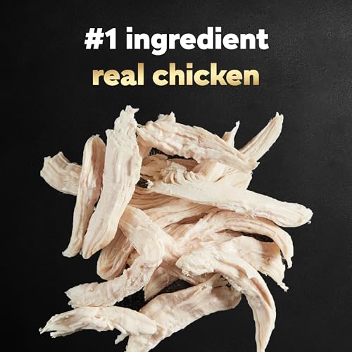 Image of Cesar Wholesome Bowls Wet Dog Food, Chicken & Apple, 3 oz, 10 Count | Real chicken #1 ingredient, slow-cooked, 9 key ingredients, no by-products or artificial flavors, easy to digest
