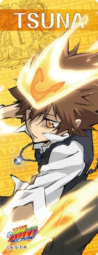 Amazon.co.jp: 家庭教師ヒットマンREBORN! クリアしおりセットPart.3