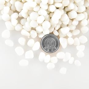 水槽内装（底砂・砂利） - Amazon.co.jp