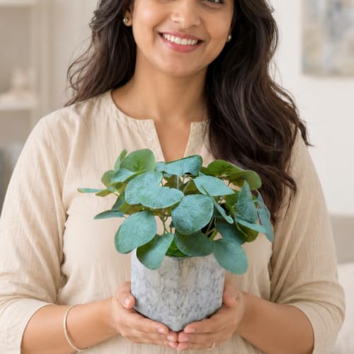 Image of fancymart Artificial Plant with Real-Touch Leaves in Pot, 25 cm, Indoor Tabletop Item for Home Decor, Office, Living Room