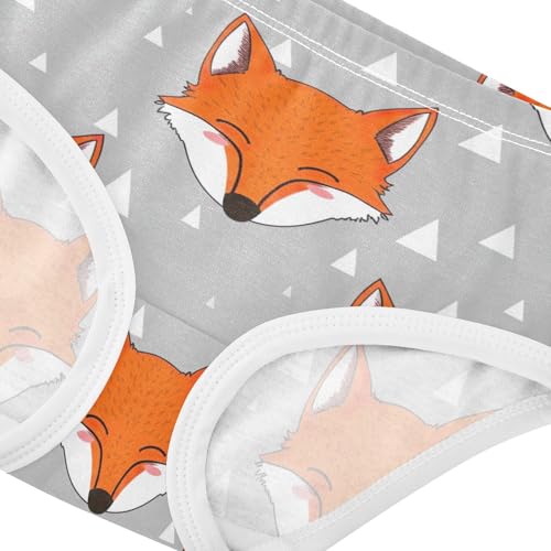 Toddler Underwear Floral 2t Cotton Panties for Girl Fun Print Kids Briefs Undies Cute Animal Fox Gray4
