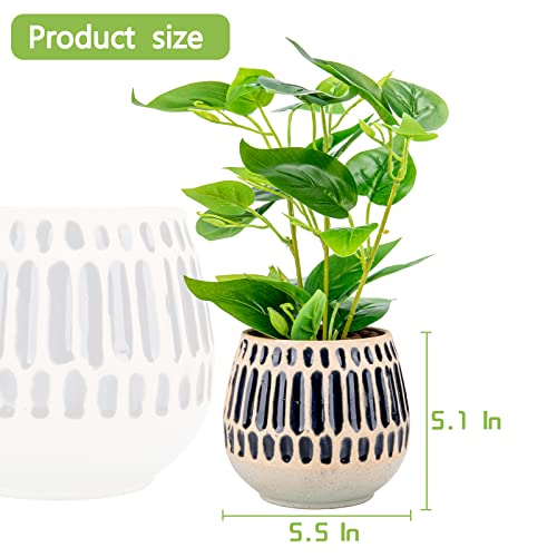Chonsun Ceramic Planter 6 Inch Plant Pots Indoor Oudoor Planter Flower Pots Succulent Plant Pots Mid-Century Planter Ceramic #TOP3