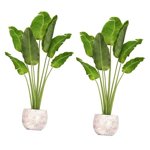 Papier peint auto-adhésif décor de la chambre plantes - 4