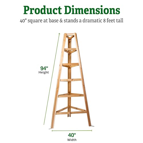 Gardeners-Supply-Company-Cedar-Wood-Obelisk-8-Feet-Tall-Outdoor-Garden-Structure-Trellis-Support-for-Climbing-Flowers-and-Vining-Vegetables Gardeners Supply Company Cedar Wood Obelisk 8 Feet Tall Outdoor Garden Structure Trellis Support for Climbing Flowers and Vining Vegetables