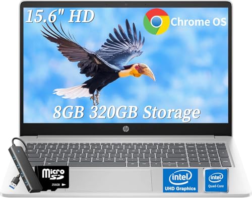 HP 15.6C` Chromebook v~Am[gp\R wrWlXp Chrome OS 8GB RAM 320GB eMMC (64GB eMMC + 256GB MicroSD) 15.6C` HD A`OAfBXvC Inte