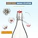 YEBODA Clear Glass Bottles with Stopper For Home Brewing Beer Kombucha Kefir & Airtight Silicone Seal 32 oz(4 Set)