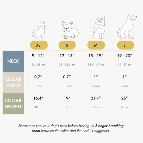 Nina Woof Copenhagen Hundehalsband aus veganem Leder, gepolstert, verstellbar, Beige, Größe M