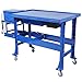 ROCKRAIN 51Inch Steel Tear Down Table: Mobile Parts Washer with 3.5Gallon Tank & 110V Pump - Automotive Tool Cleaning & Engine Disassembly Workstation - Includes Drawer & Drain Tray for Mechanics
