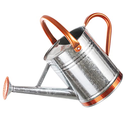 1 Gallon Watering Can For Outdoor And Indoor Plants，Premium Galvanized Steel Watering Can With 2 Handles，Metal Flower Watering Can With Removable Sprinkler Head，Vintage Silver #TOP1
