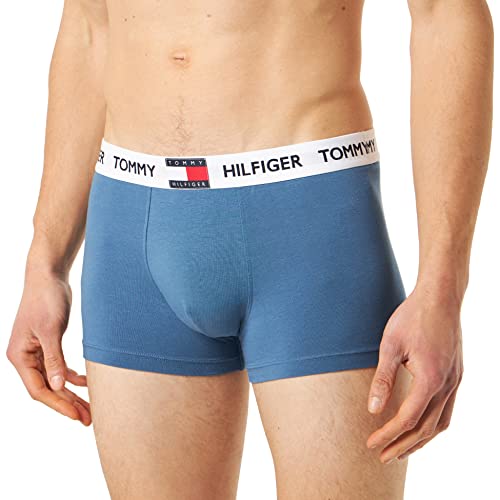 Preisvergleich Produktbild Tommy Hilfiger Herren Trunk 810 Kofferraum, Blue Coast, S