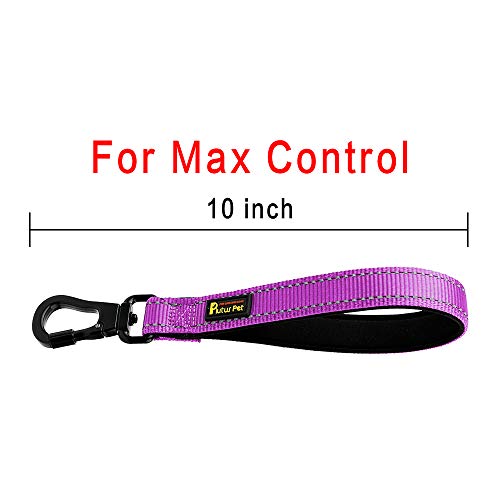 Plutus Pet 10” Short Dog Leash, Reflective Nylon Padded Handle, Strong Traffic Leash With Carabiner Clip, Perfect For Large Or Medium Dogs（10”，Purple #TOP4