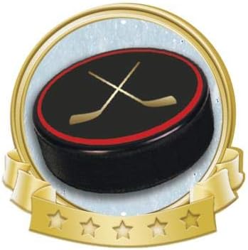 Crown Awards Hockey Puck Banner Pin, Gold Hockey Pins