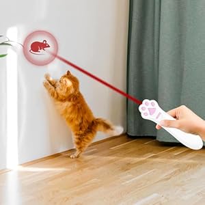 OANTOO-Cat-Toy-Dog-Toy-Wall-Image-Projector-Indoor-Interactive-Cat-Toy-with-5-Different-Designs-Ideal-for-Dog-Cat-Kitten-Puppy-White - Cucciolini Doodles OANTOO-Cat-Toy-Dog-Toy-Wall-Image-Projector-Indoor-Interactive-Cat-Toy-with-5-Different-Designs-Ideal-for-Dog-Cat-Kitten-Puppy-White