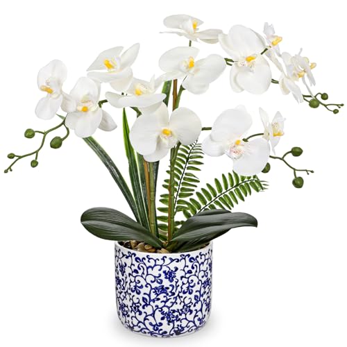 Briful White Orchid Artificial Flowers with Blue and White Pot,