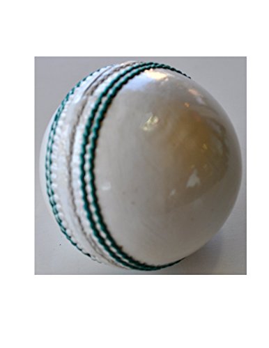 T20 White Leather Cricket Ball (Pack of 6) No Stamp