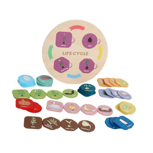 koolsoo モンテッソーリ ライフサイクル トレイ 学習 教育 科学 キット 教育用小道具 パズルボード ライフスタイル ステージ 子供 教室用