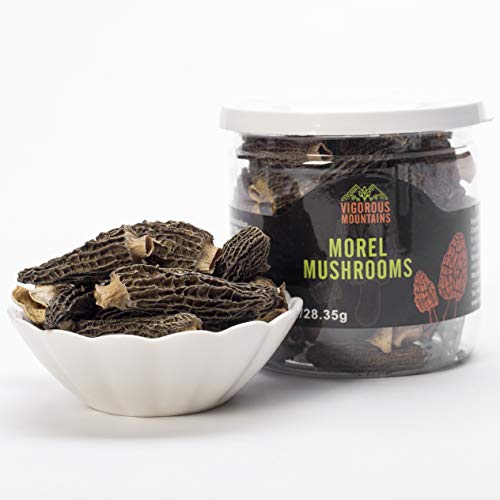 Vigorous Mountains Wild Dried Morel Mushrooms 1 Ounce Morchella Conica 2-4cm Size 1 Oz Sealed Jar Premium Grade AAA