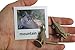 Montessori Desert Animal Match Cards and Figurines. Nomenclature Science Work