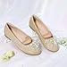 DREAM PAIRS Girls Mary Jane Princess Party Dress Flat Shoes, Gold/Glitter - 4 Big Kid (Aurora-03)