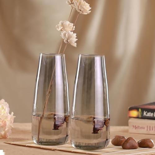 Image of TIED RIBBONS Set of 2 Glass Flower Vase Pot for Plants (Black, 22.8 cm X 6.3 cm X 7.6 cm) - Decorative Home Decor Living Room Water Plants Dining Table Decoration Bedroom Hall House Warming Gift