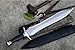 Xiphos Sword - 18
