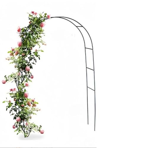 MLTUN MAKAN K[fA[`AEFfBOA[`AwiT|[gABSo[At[X^hANC~OgXAuhEI (΂̐F) [sAi]