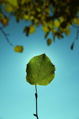 The Importance of Being Earnest (Illustrated) (English Edition)