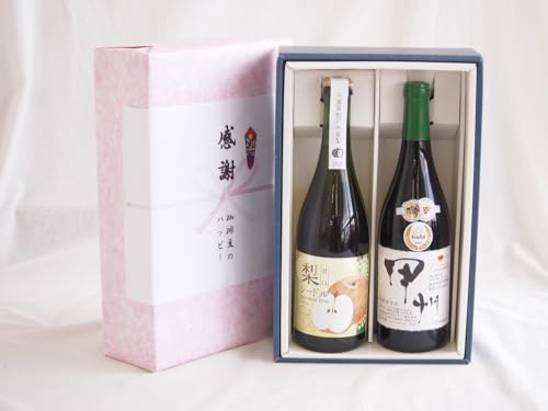 ӂ̑蕨{bNX N₩ȃr[FԎh̔~ƍYCZbg(k bB C h(R)720mla̎R Ԏh̔~12x 720ml