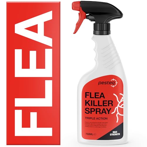 PESTEQ Flea Spray for The Home | Max Strength Household Flea Spray (750ml) | Kills Flea Adults, Larvae & Eggs Fast | Odourless & Non-Staining Flea Treatment | Flea Killer Spray