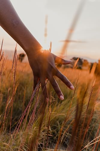 Image of Tamron 11-20mm F /2.8 Di III-A2 RXD for Sony APS-C mirrorless Camera, Lens Black (B060)