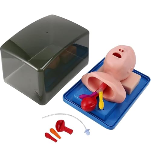 Mannequin d'intubation enfant AMITD en PVC durable de qualité médicale supérieure - 2